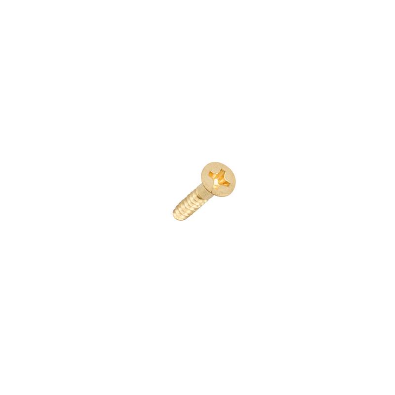 Brass Flat Head Philips Screws, 100 Pack