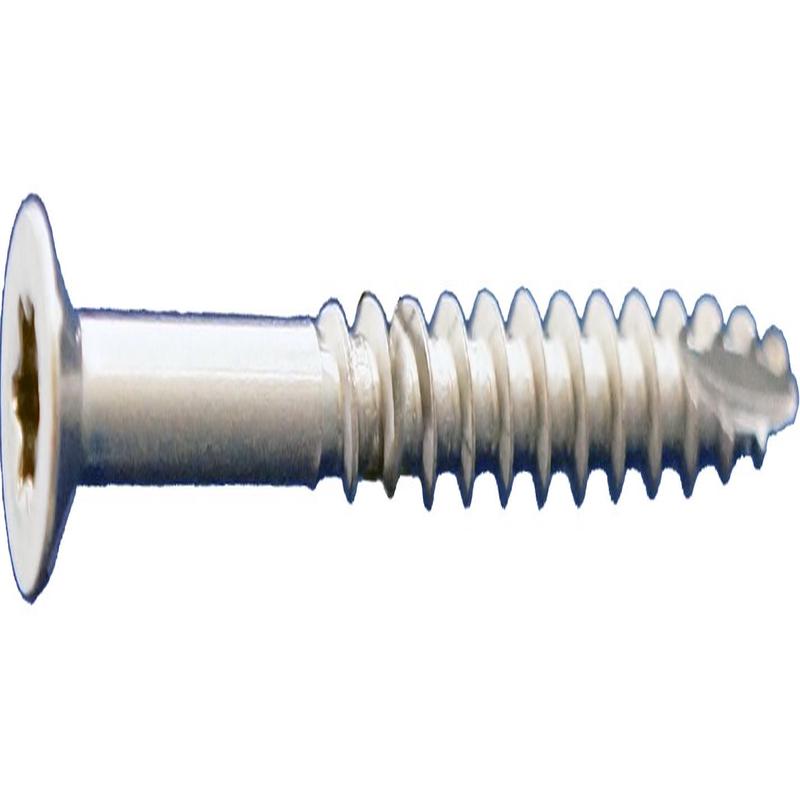 DAGGERZ DKSTSSS10212 10 x 2-1/2 Ultra Deck-Pro Star Flat w/Nibs Type 17 Deck Screws 305 Stainless Steel 2000 PCS