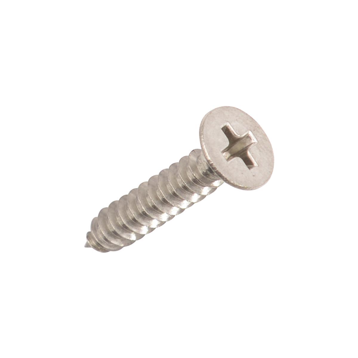 Solid Brass Door Hinge Screws – Brushed Nickel | #10