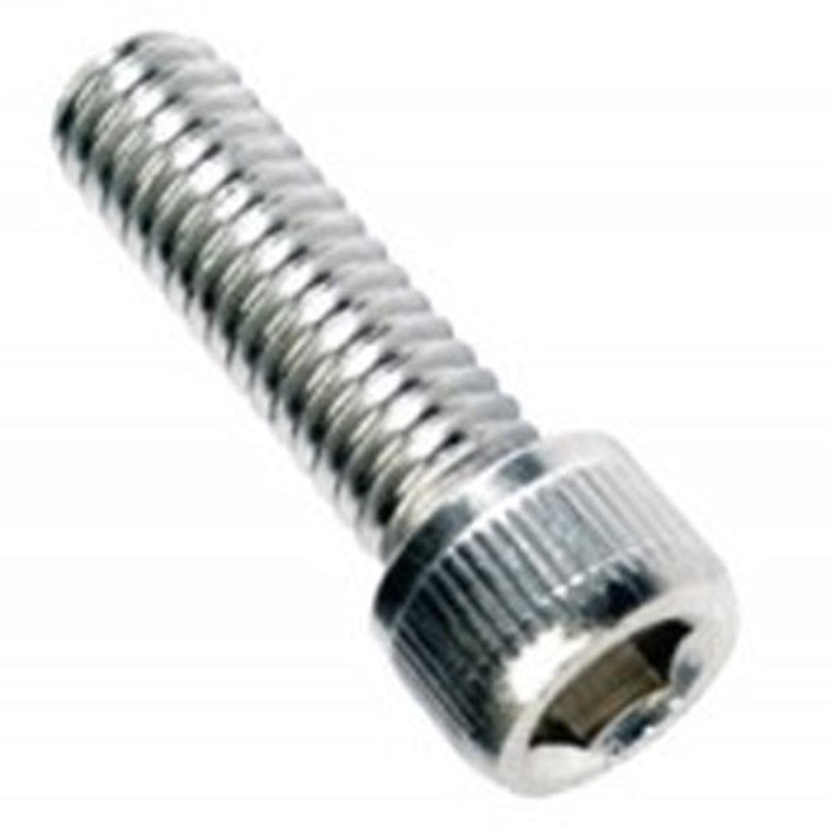 Champion M6 X 40mm Socket Cap Screw 316/A4 -6Pk