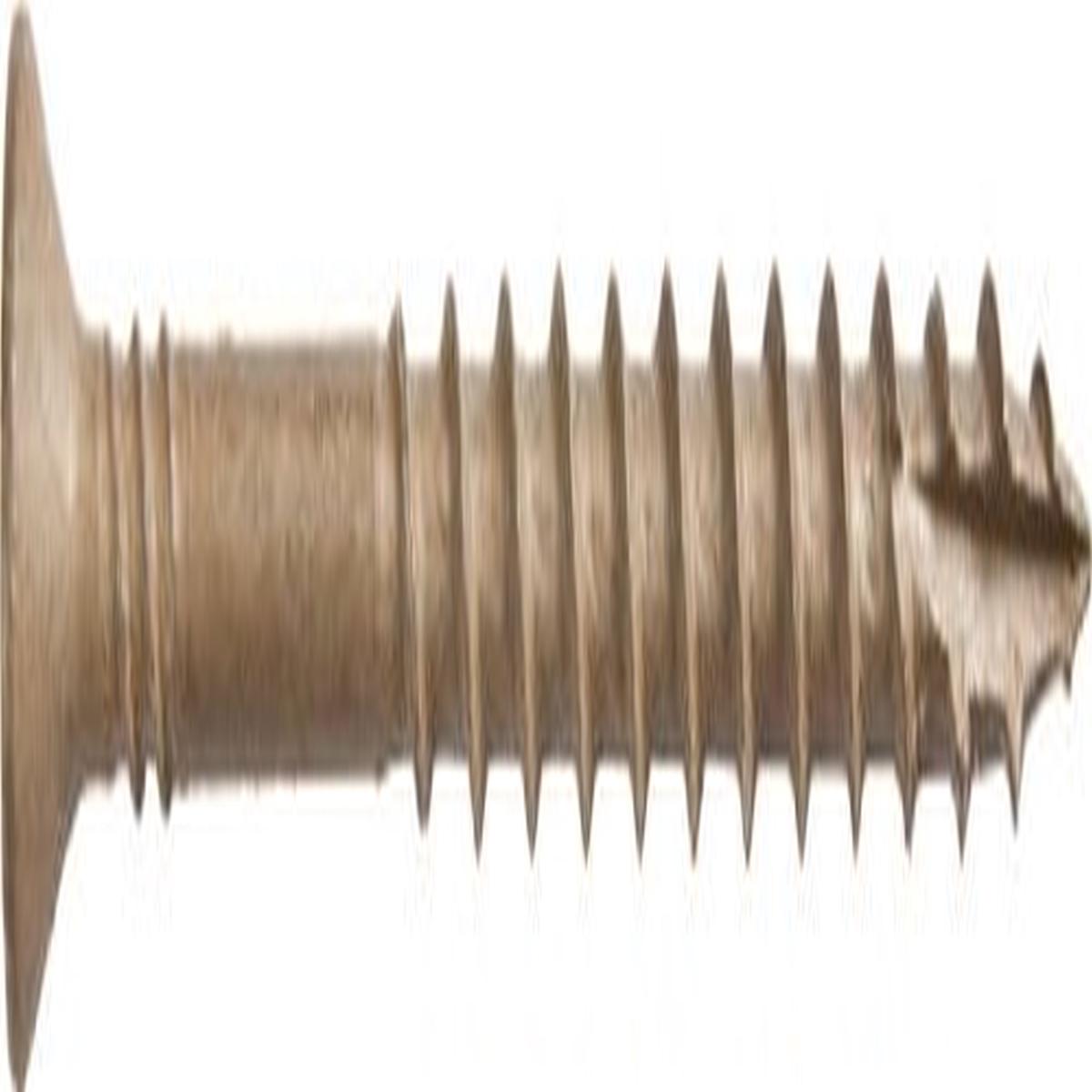 PAM/OMG WDCH8212 #8×2-1/2 Star Drive Flat Head Copper Collated Screws, 1,000/Box