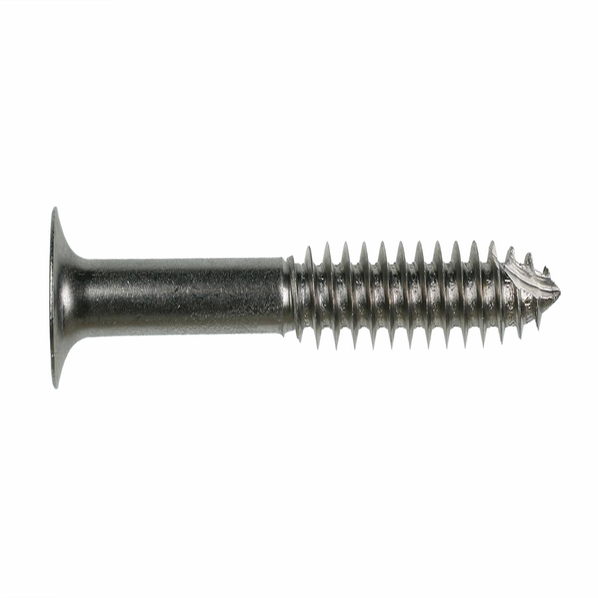 Simpson Strong-Tie S14400D10 #14 4IN 305SS BUGLE HEAD DECK SC 10EA/PK
