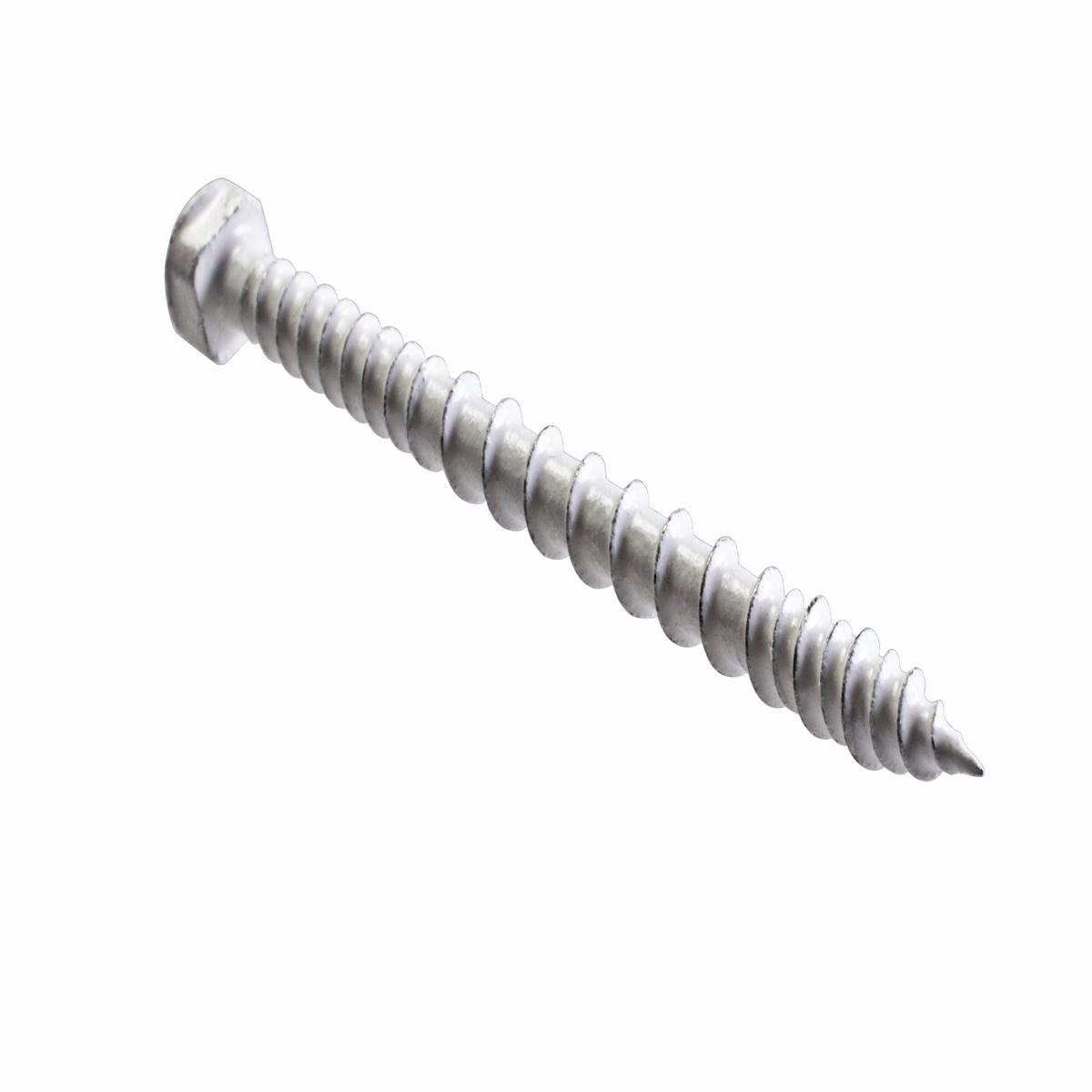 Simpson Strong-Tie TSV214R70WH01 8 X 2-1/4 IN TSV MOD.TRIM WH01 T20 70CT