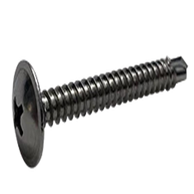 [5000 BULK] Self Drilling Screws Phil Oval #2 Point 18/8 Stainless 8 X 1/2