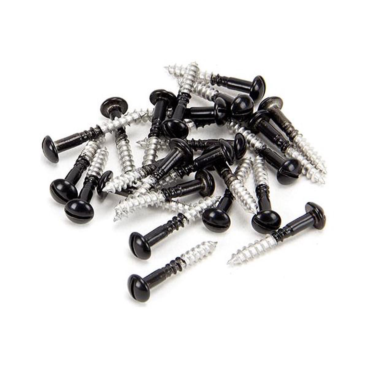From The Anvil – Black SS 3.5 x 25 Roundhead Screws (25) – Black – 83756