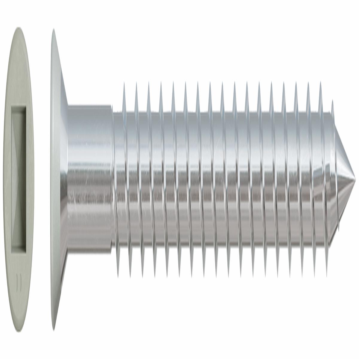 Simpson Strong-Tie DTH212S305GR #7 X 2-1/2 305SS TRIM QD 1M GRAY