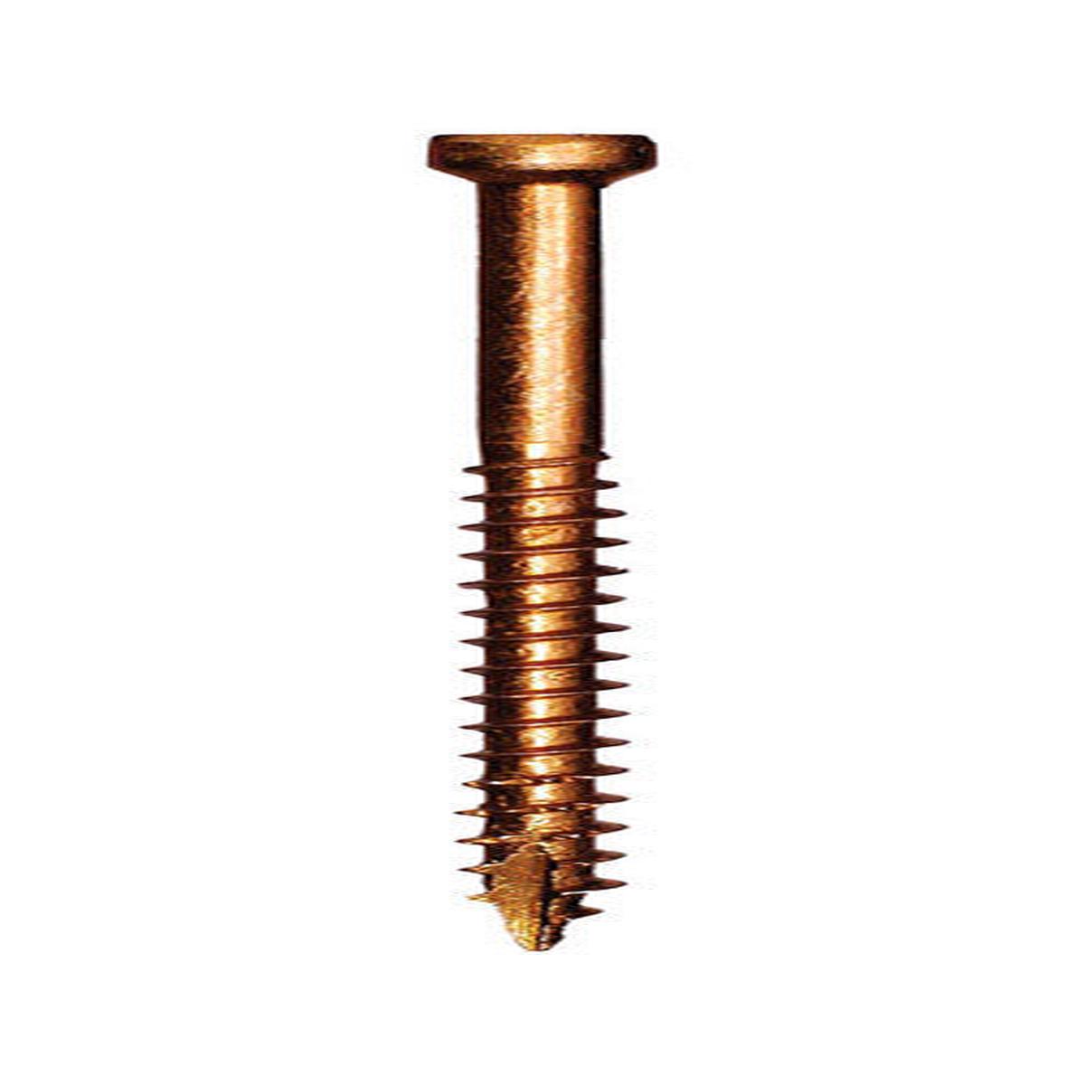TRIM SCREWS #8 X 2-1/2″L