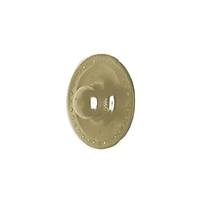 Segma Size 21 Brass Stud, Solid Brass