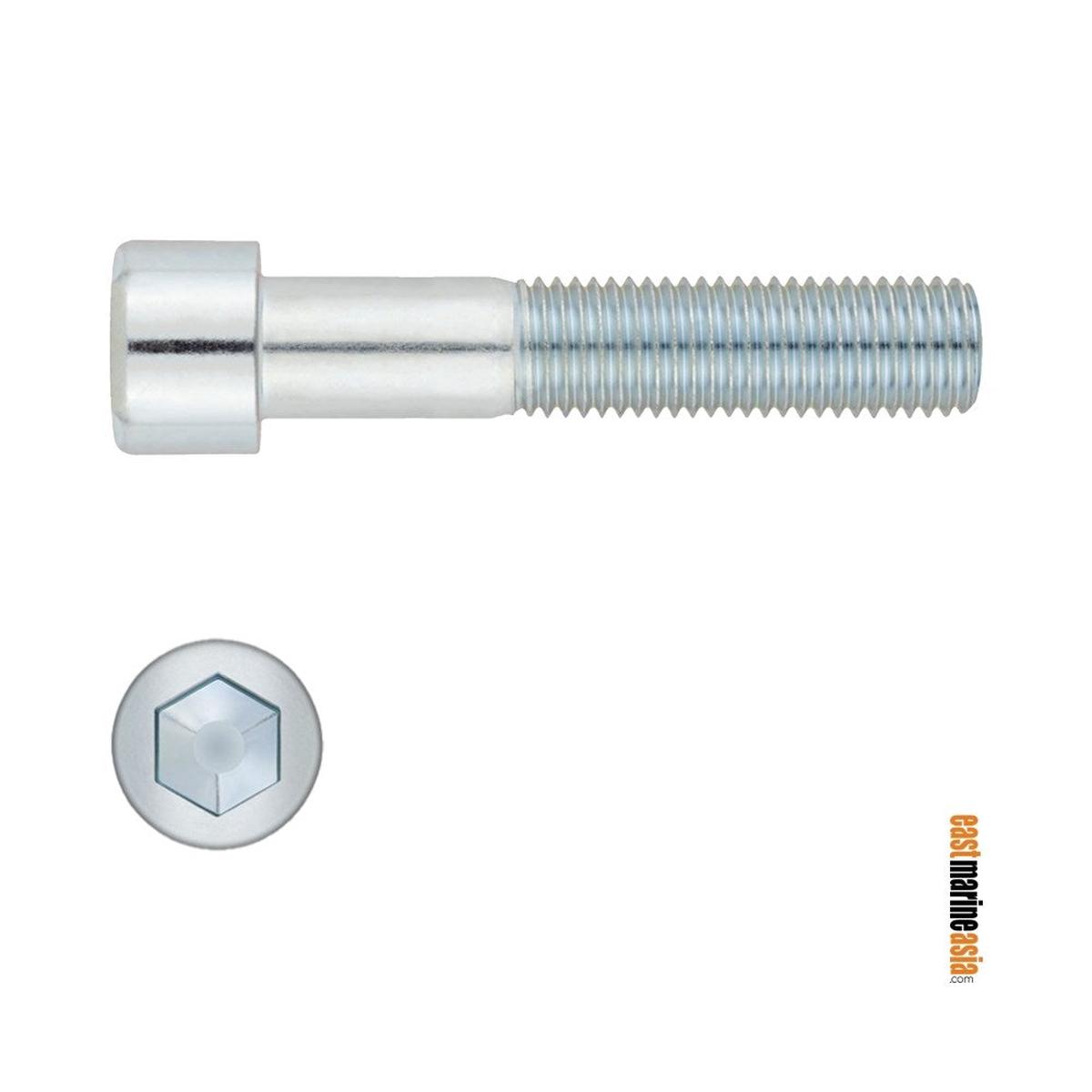 Stainless Steel 316 Bolt Socket Head - Half Thread (DIN 912) - M6 x 120 mm | Pack of 1 | Pack (112381)