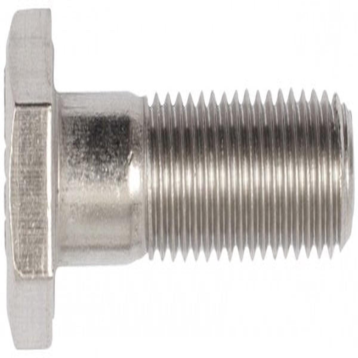 M20 Bolt Metric Stainless 304