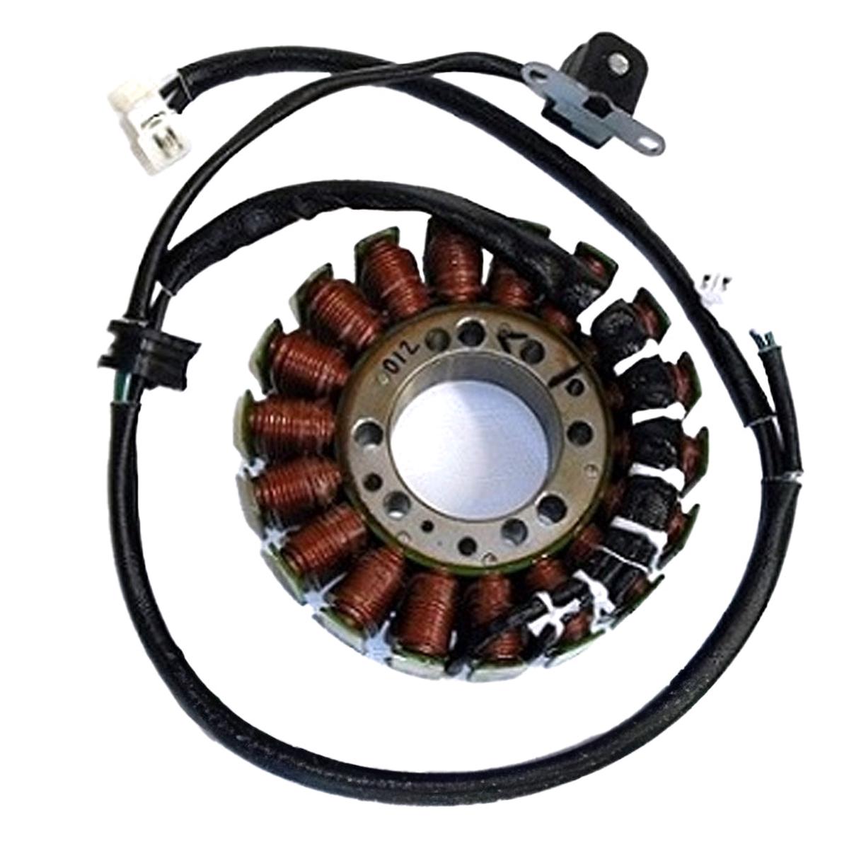 Stator Ricks Motorsport Triumph Daytona 675 06-12 Street Triple 675 08-13