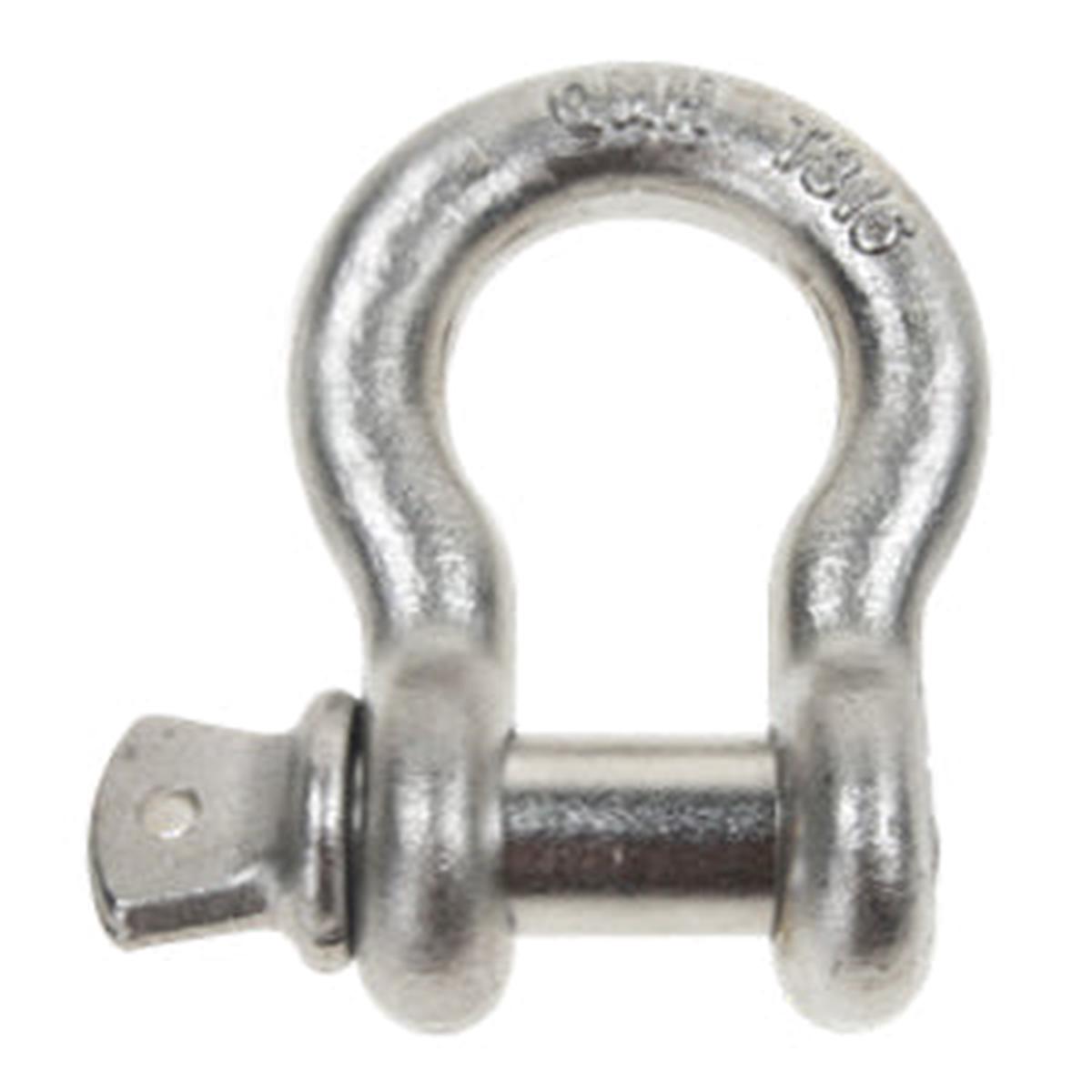 3/8" Stainless Steel Drop Forged Screw Pin Anchor Shackle - 0.75 Ton