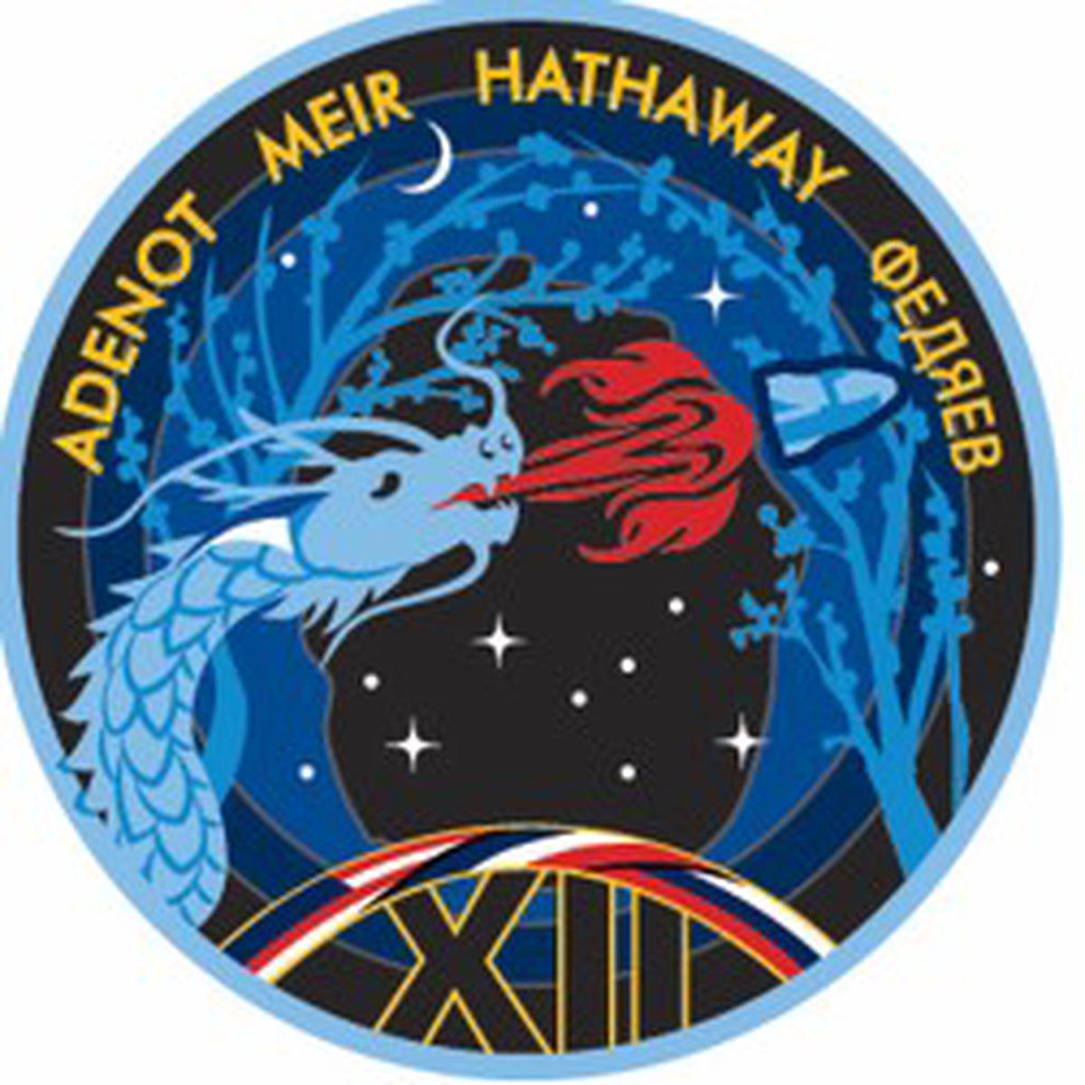 NASA SpaceX Crew 12 Mission lapel pin with names